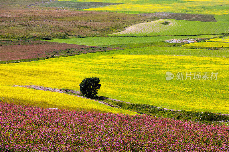 Piano Grande di Castelluccio，位于绿色山丘上的村庄，意大利